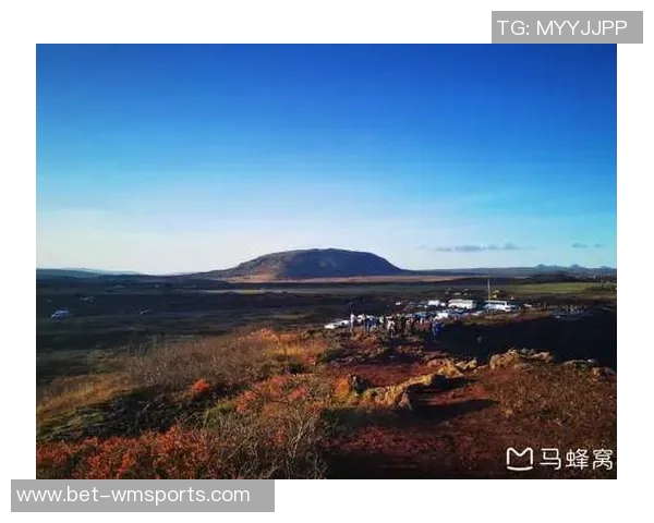 芬兰与冰岛精彩对决无插件直播全程回放与分析