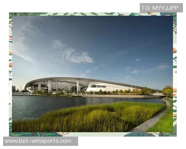 探索国外著名体育网站的独特魅力与影响力分析